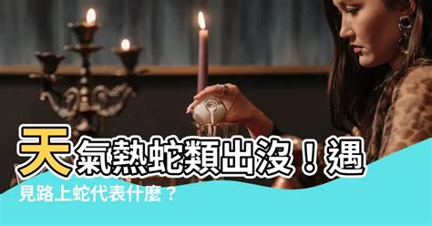 路上遇見蛇|【見到蛇預兆】見蛇驚恐？還是好運降臨？揭密見到蛇的吉凶預兆！